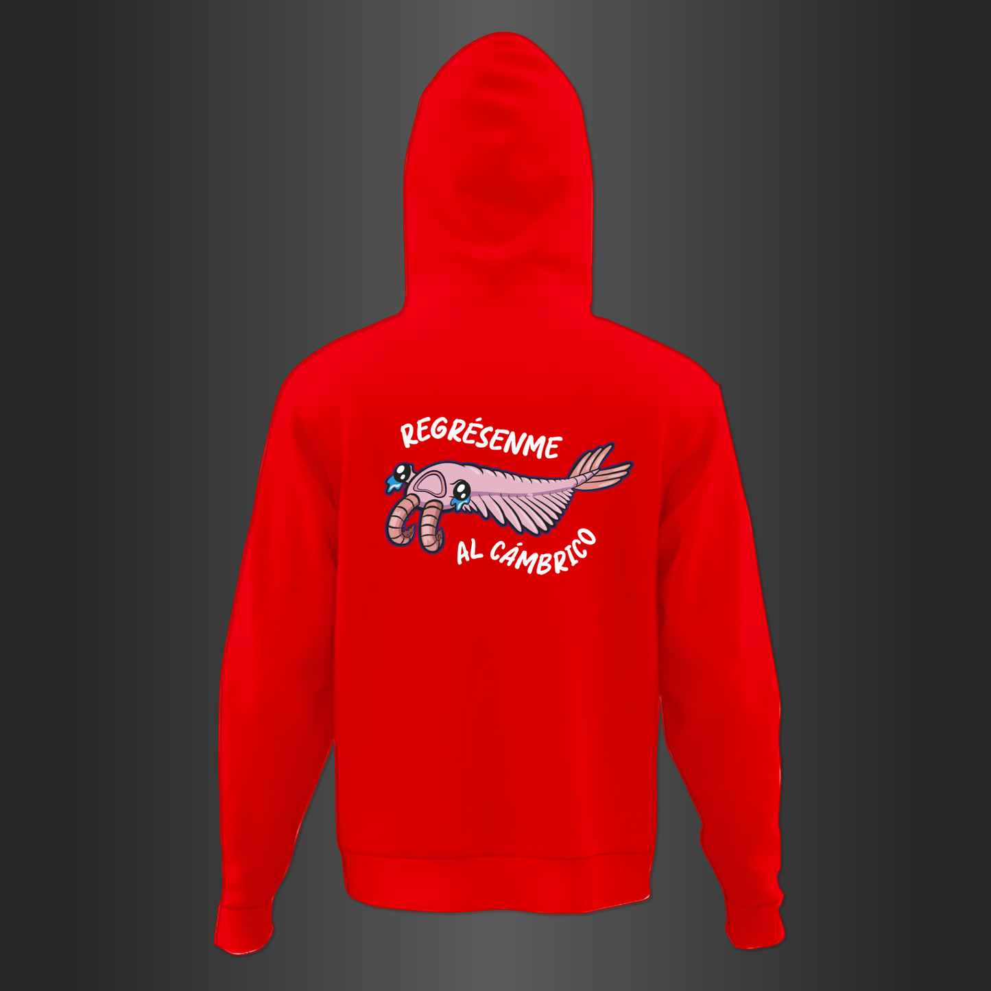 Cambrico Hoodie