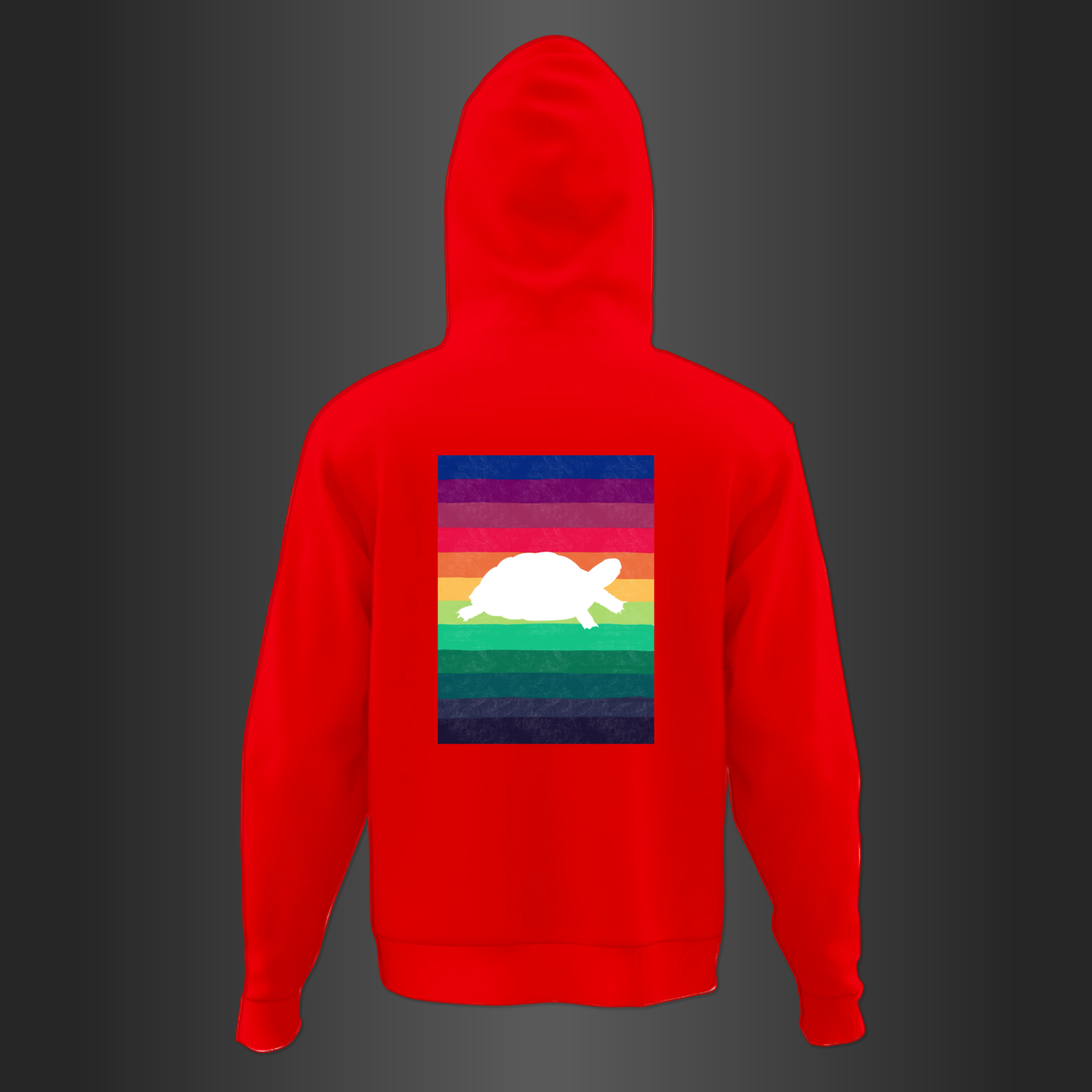 Tortuga Hoodie Preguntale al Biologo