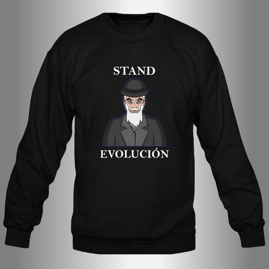 Stand Evolution Sudadera
