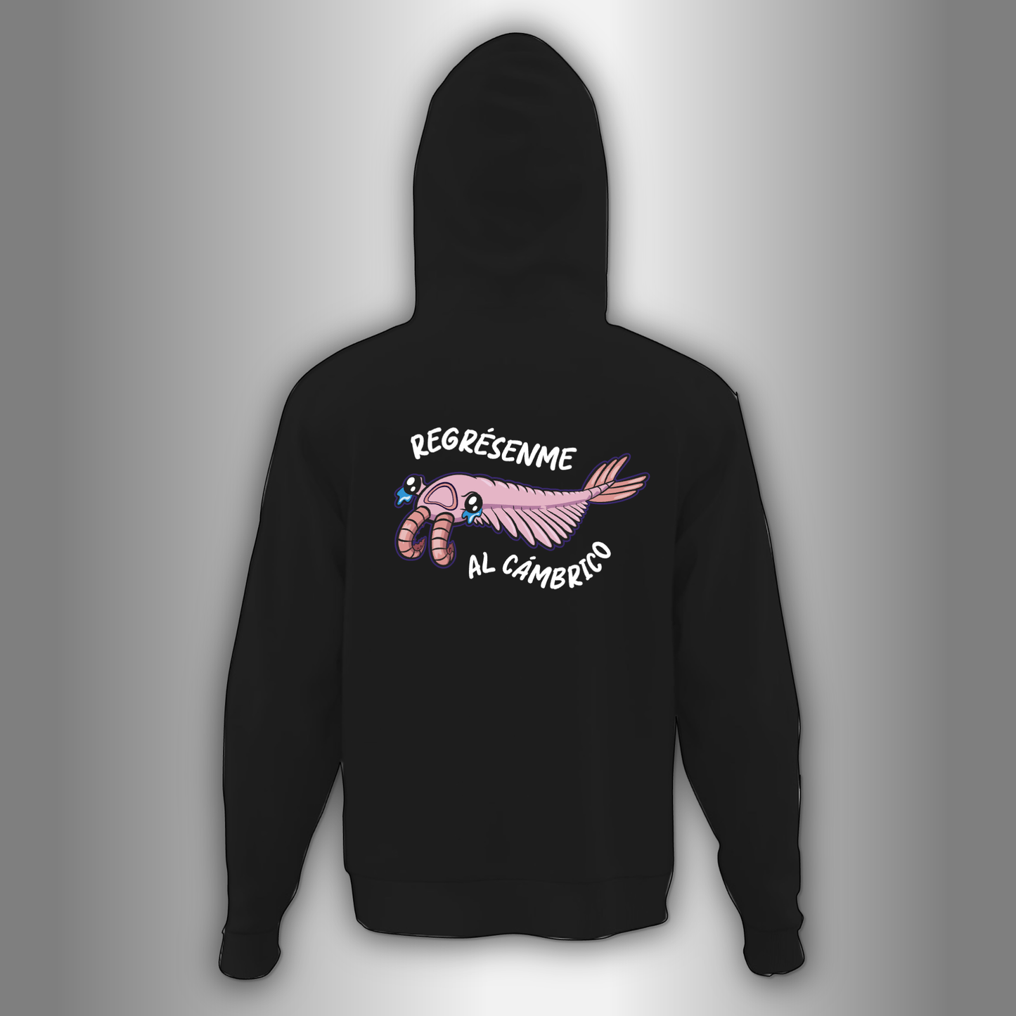 Cambrico Hoodie