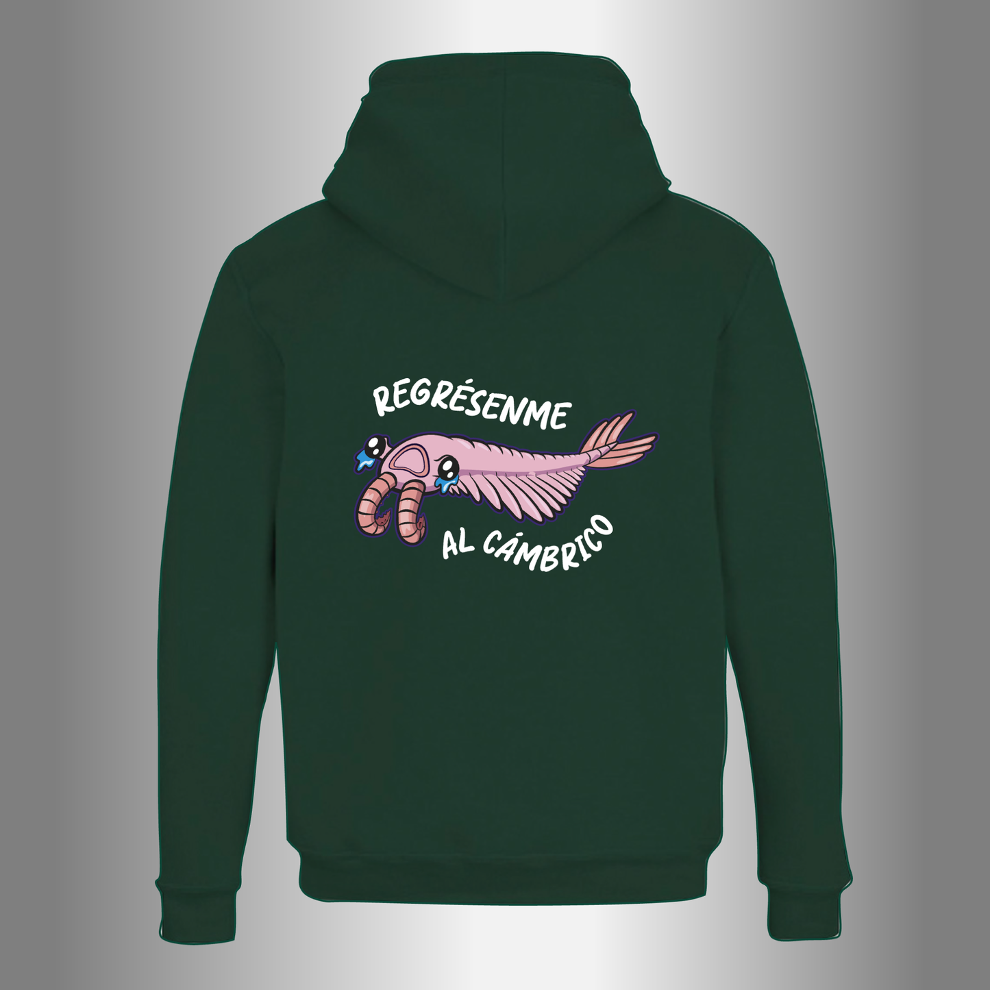 Cambrico Hoodie